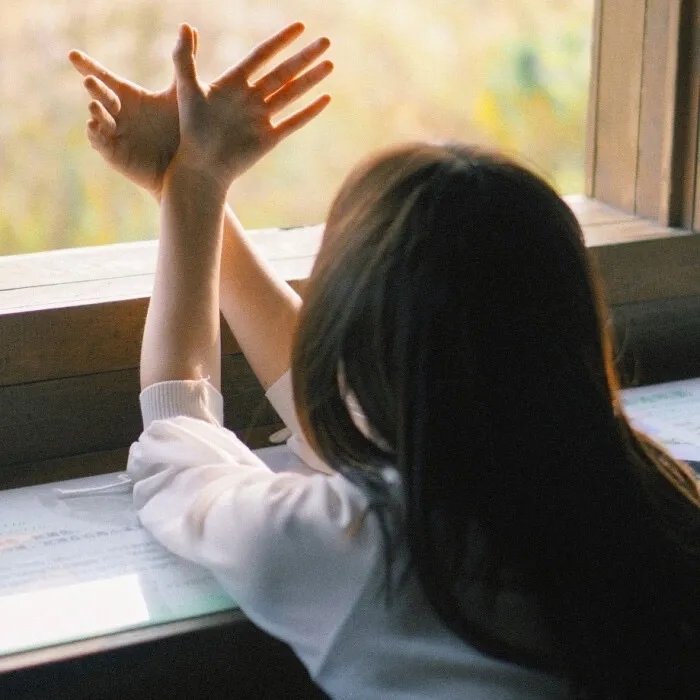 请问您今天要来点兔子吗？？第二季