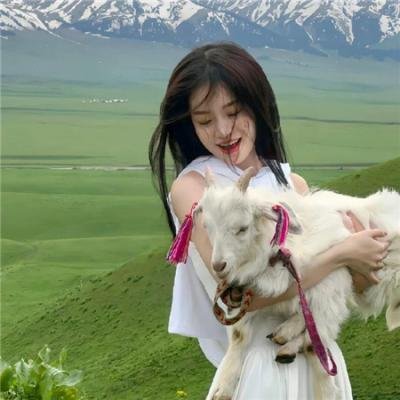 何加加的桃花源记